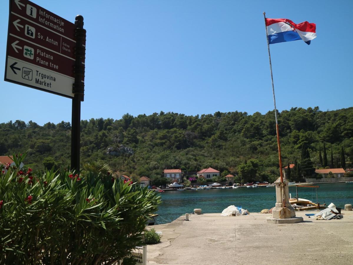 Studio Apartments & Rooms Lela, Sipan Island Sipanska Luka  Екстер'єр фото
